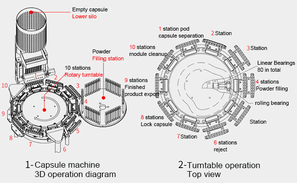 automatic caspule filling machine 3D