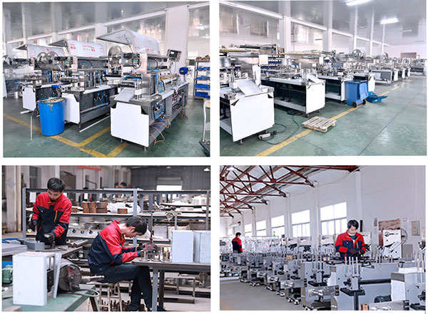 blister packing machine factory details